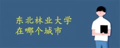 東北林業(yè)大學在哪個城市