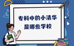 專科中的小清華是哪些學(xué)校？被評為小清華的專科學(xué)校