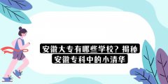 安徽大專有哪些學(xué)校？揭秘安徽?？浦械男∏迦A