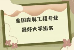 全國森林工程專業(yè)最好大學排名（2023最新排名一覽表）