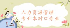 人力資源管理專升本對口專業(yè)