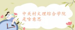 中關村文理綜合學院是啥意思